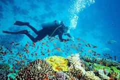 1491555548Hikkaduwa-Discover-Scuba-Diving-for-adults_03