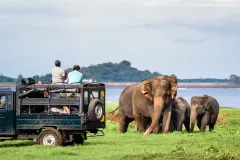 udawalawe-national-park