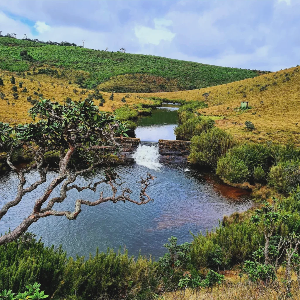 sri lanka tours